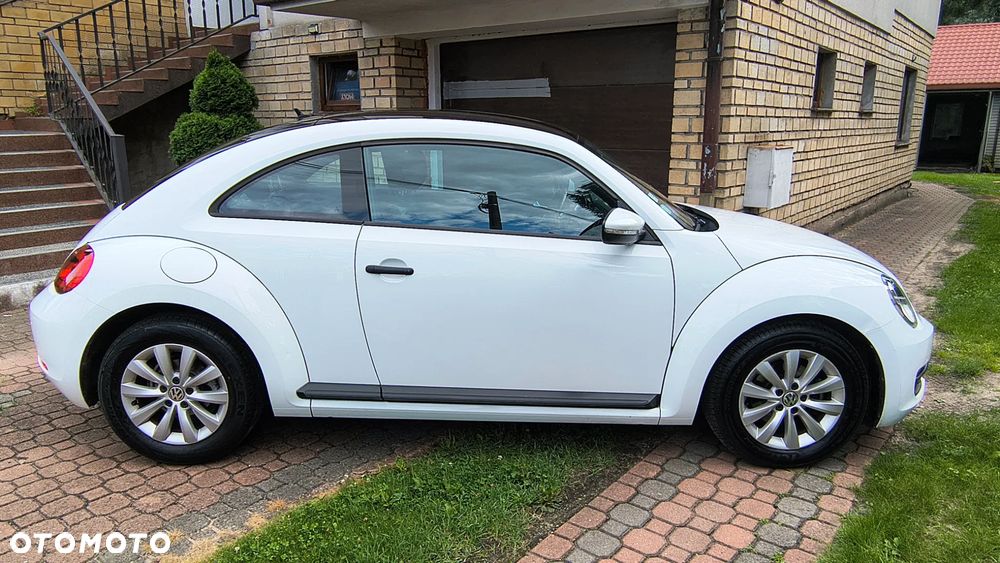 Volkswagen Beetle - 6