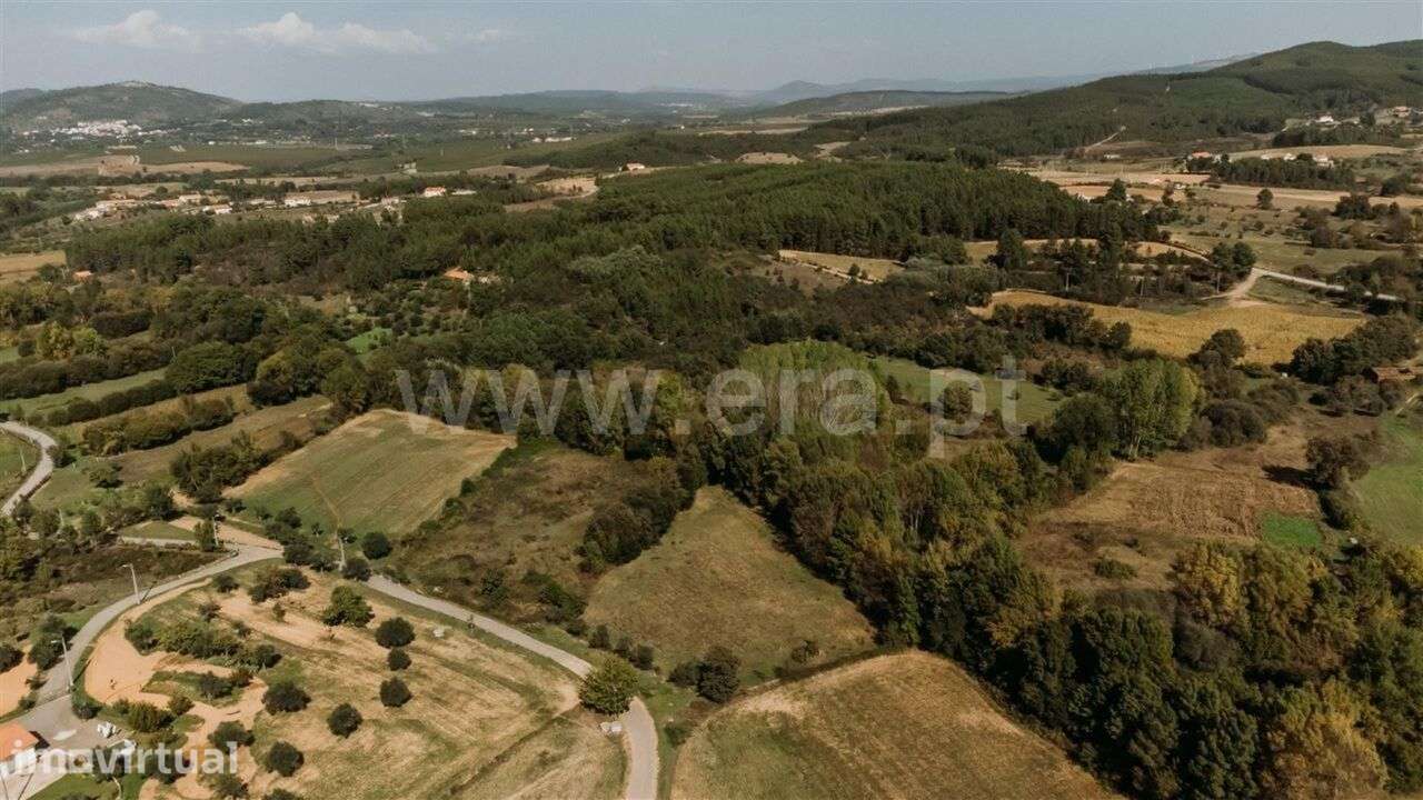 Terreno / Fundão, Enxames - Grande imagem: 2/6