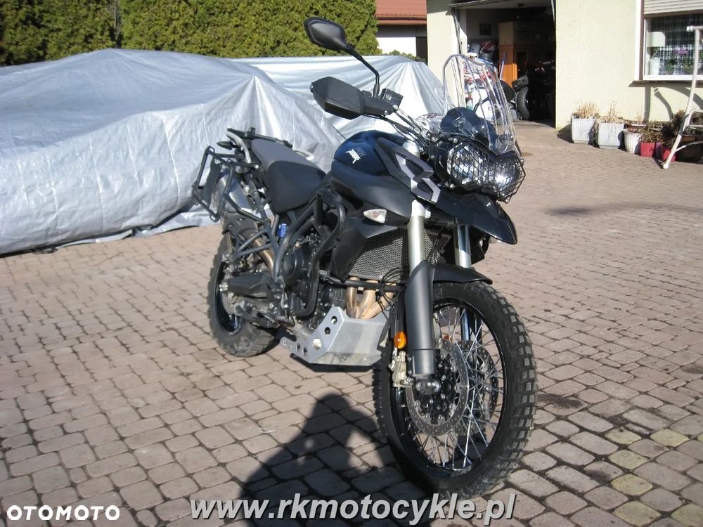 Triumph Tiger - 1