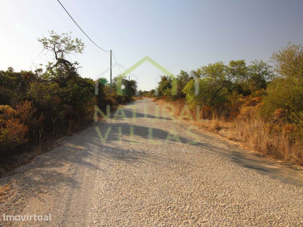 2 Terrenos Rústicos de bons acesos e vista campo, Estoi - Grande imagem: 5/5