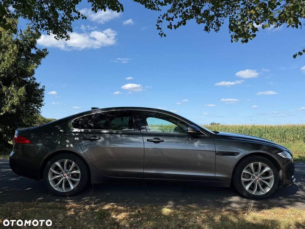 Jaguar XF 20d Prestige - 12