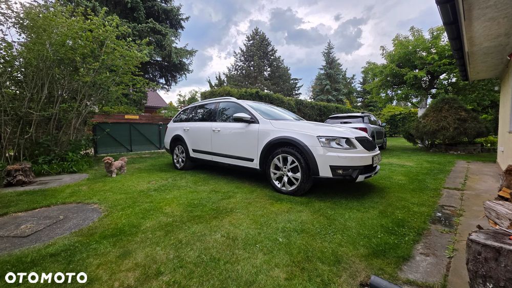 Skoda Octavia Scout 2.0 TDI 4x4 - 3
