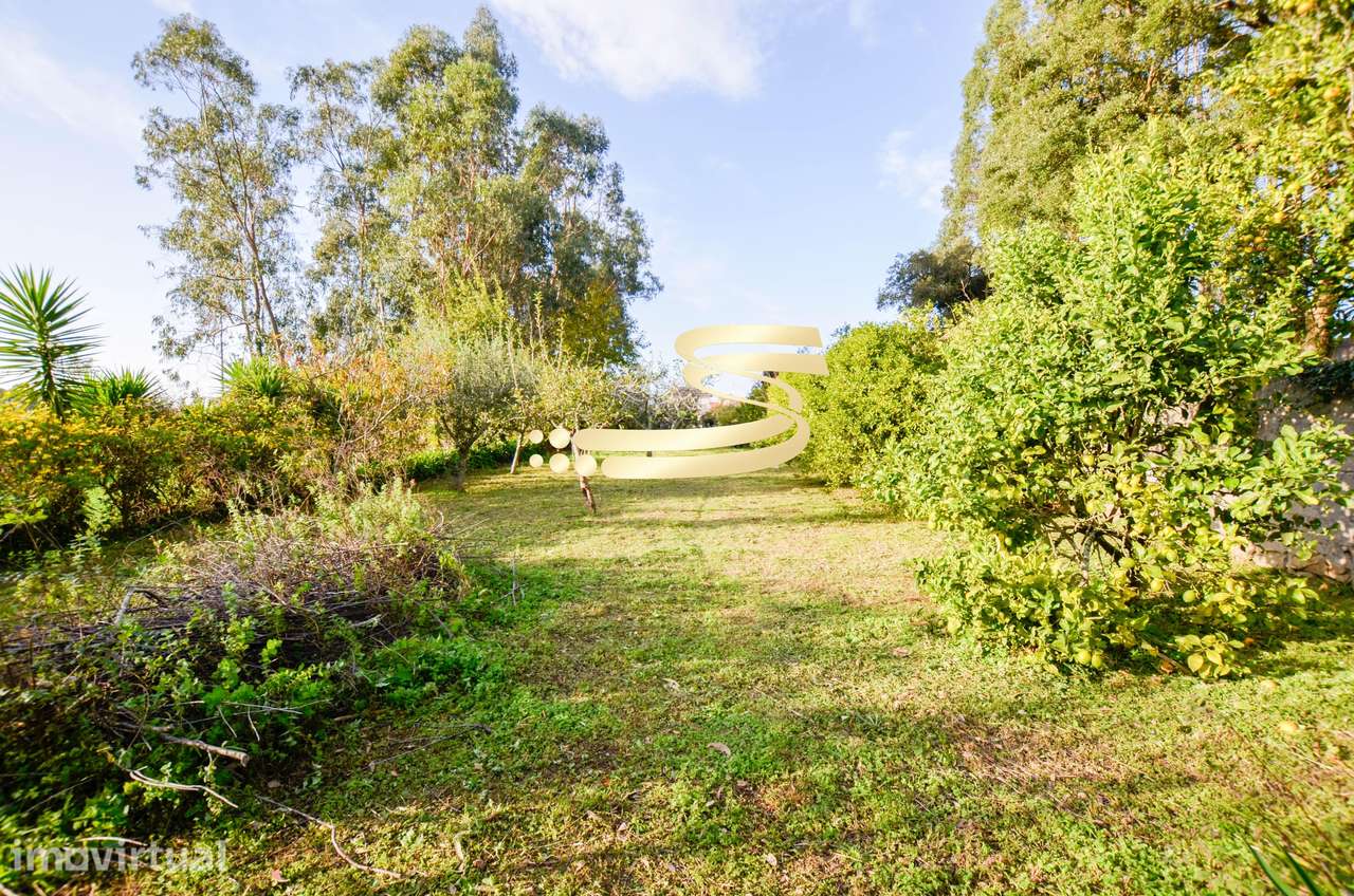 Moradia com anexos, garagem e excelente área de terreno - Grande imagem: 3/14