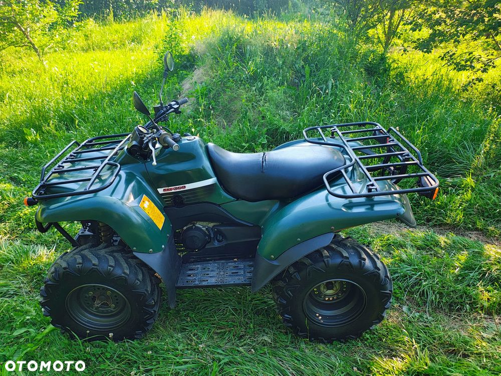 Kawasaki Brute Force - 12