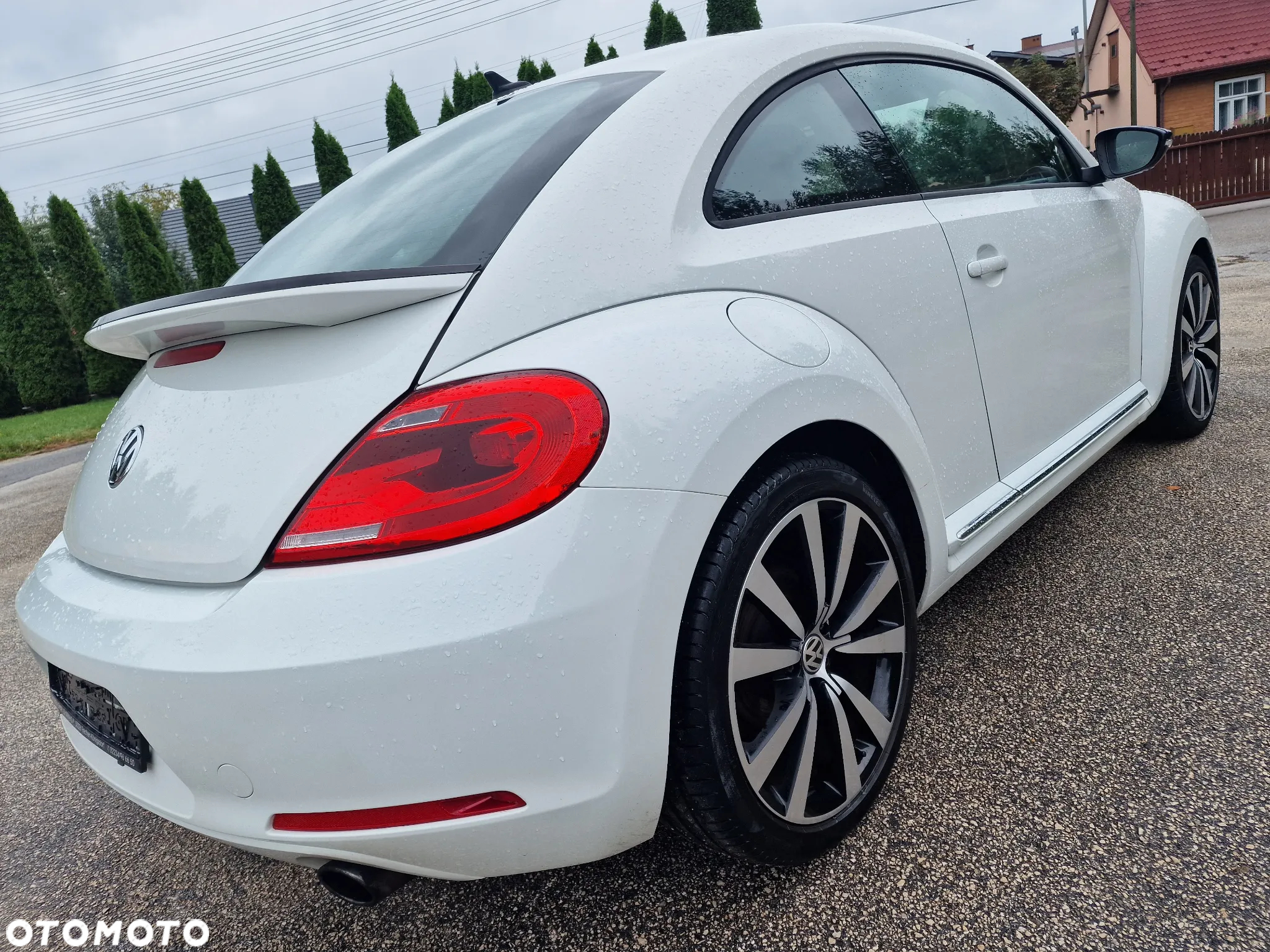 Volkswagen Beetle - 4