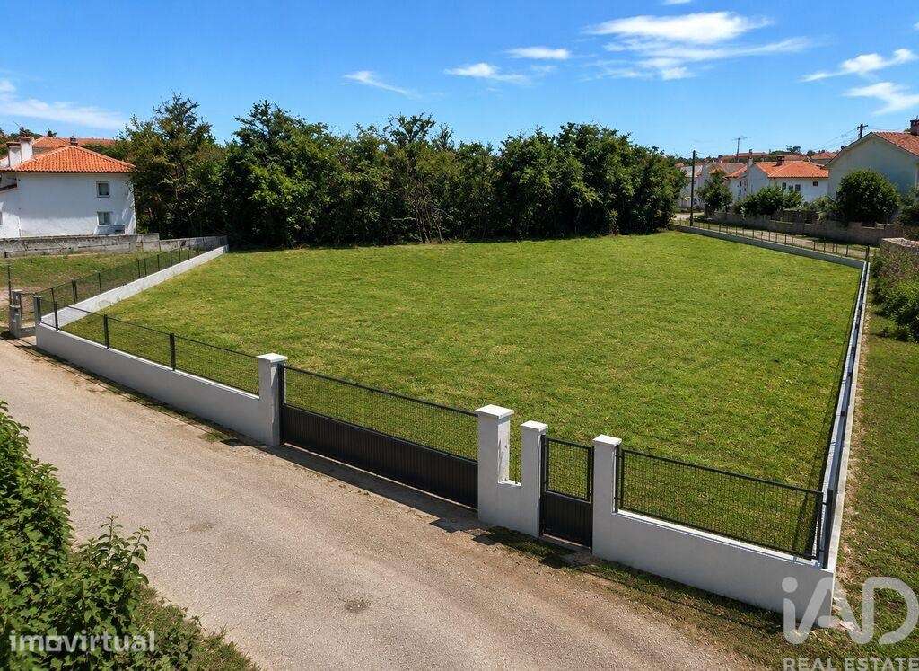 Terreno em São João das Lampas e Terrugem - Grande imagem: 3/15