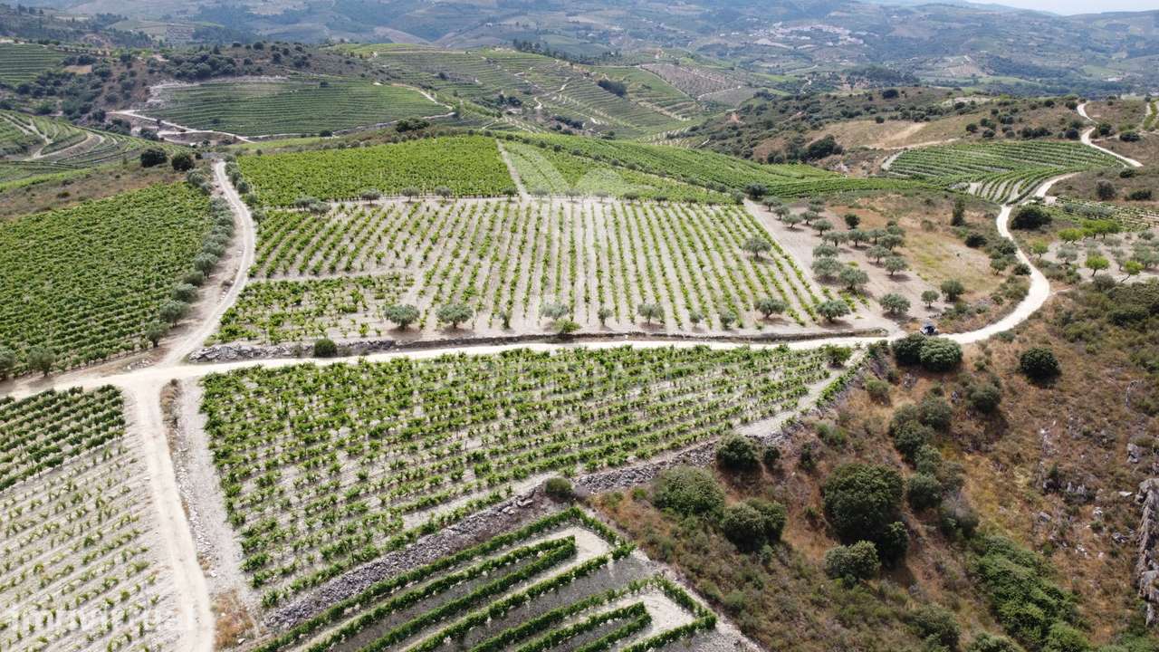 Quinta Agrícola em Cedovim – Vila Nova de Foz Côa - Grande imagem: 3/5