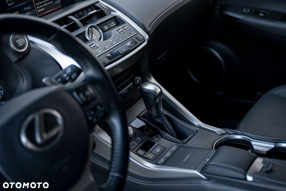 Lexus NX - 10