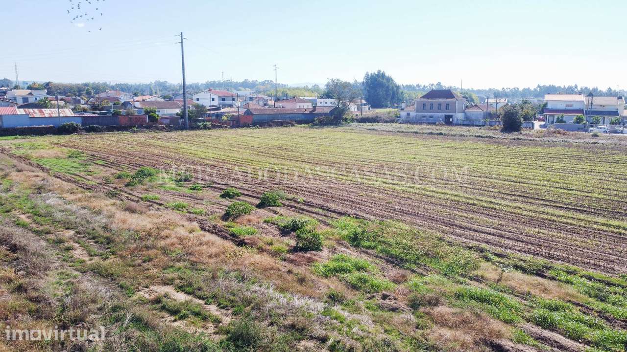 Terreno c/ 16,560m2 - São Miguel de Souto - Grande imagem: 3/16