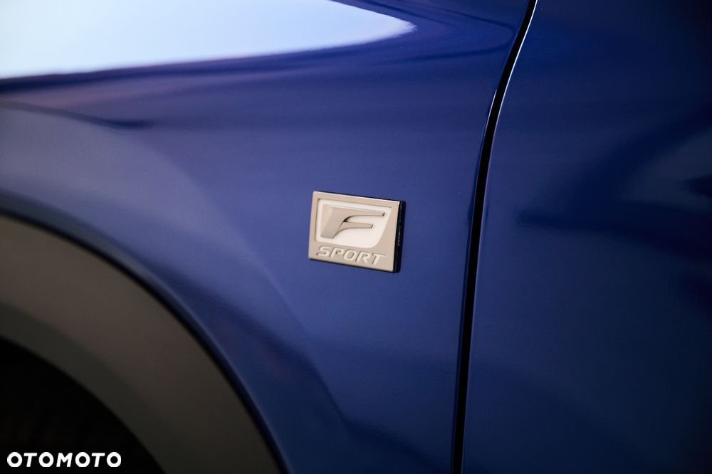 Lexus NX 300h F Sport AWD - 18