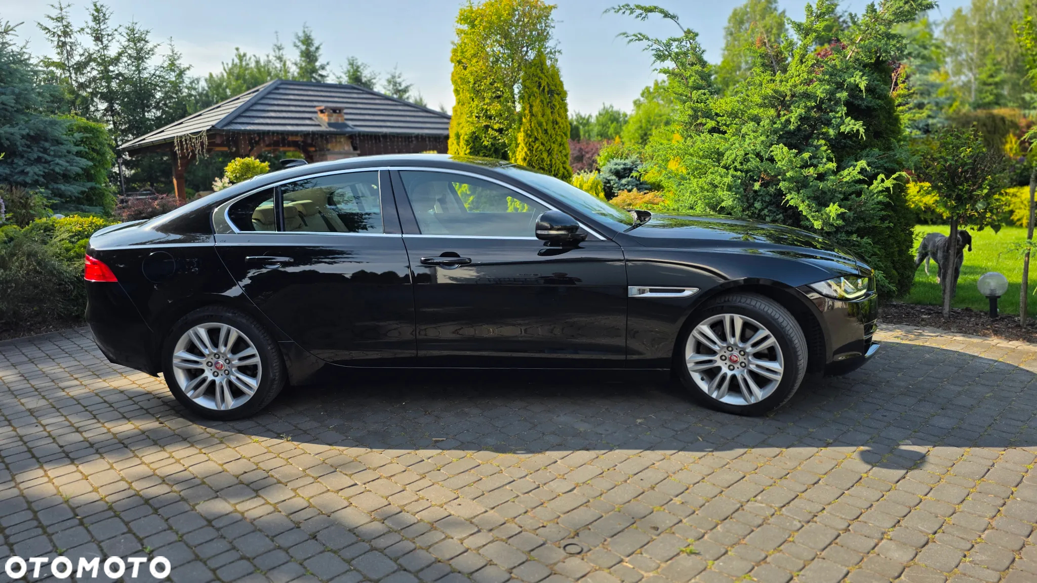 Jaguar XE 2.0 D AWD Prestige - 21