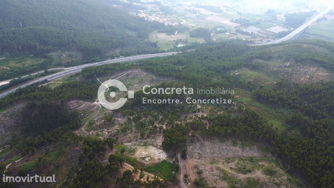 Moinho histórico em Guimarães - Grande imagem: 4/12