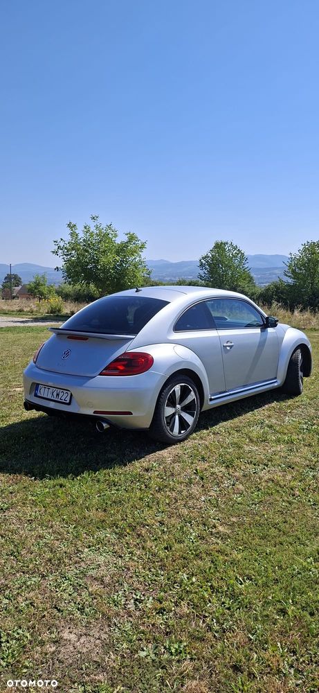 Volkswagen Beetle - 13