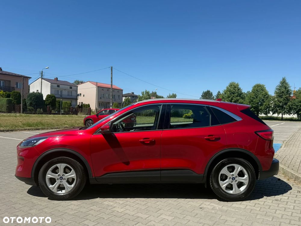 Ford Kuga 2.0 EcoBlue Hybrid TITANIUM - 19