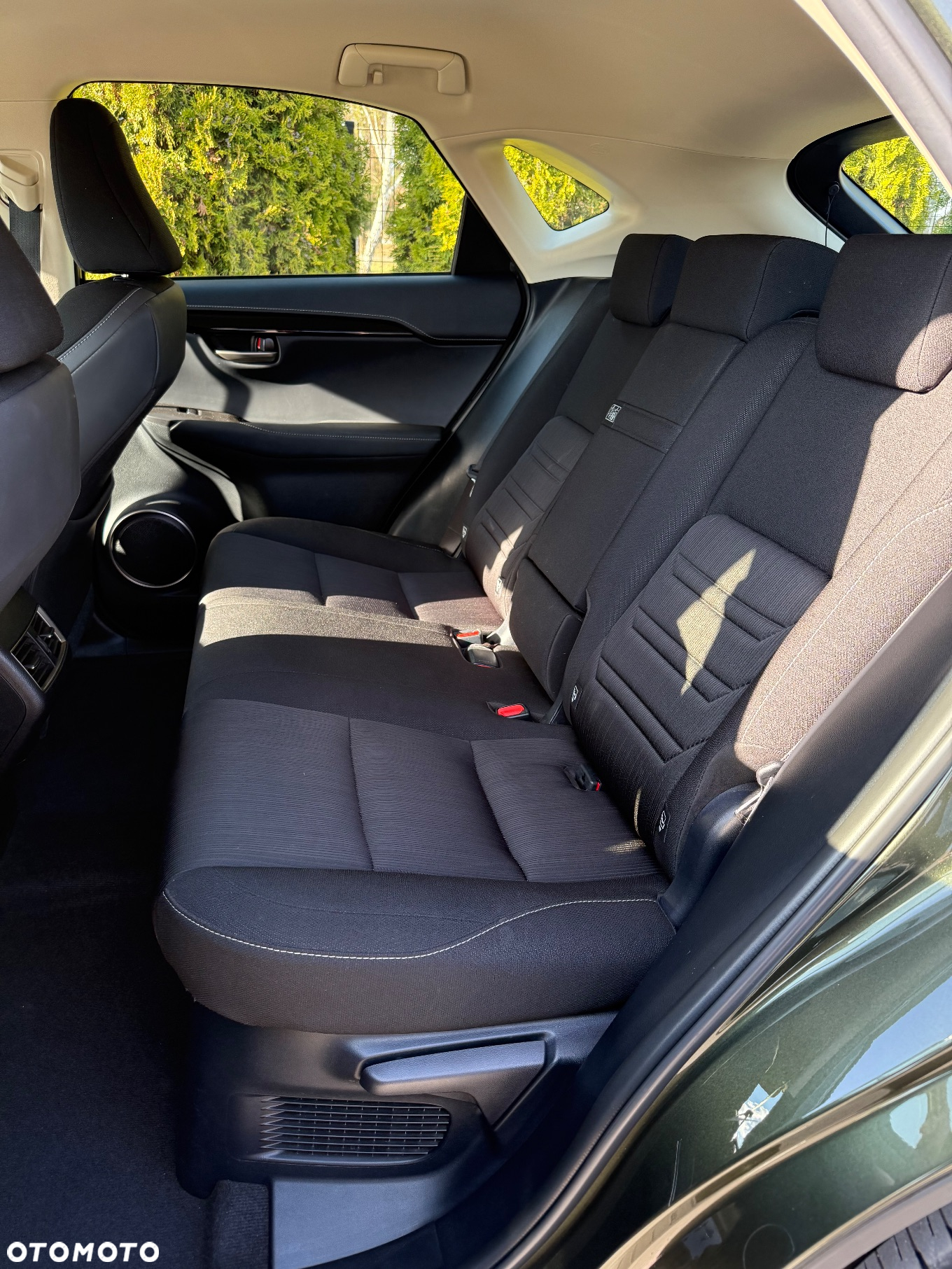 Lexus NX - 34