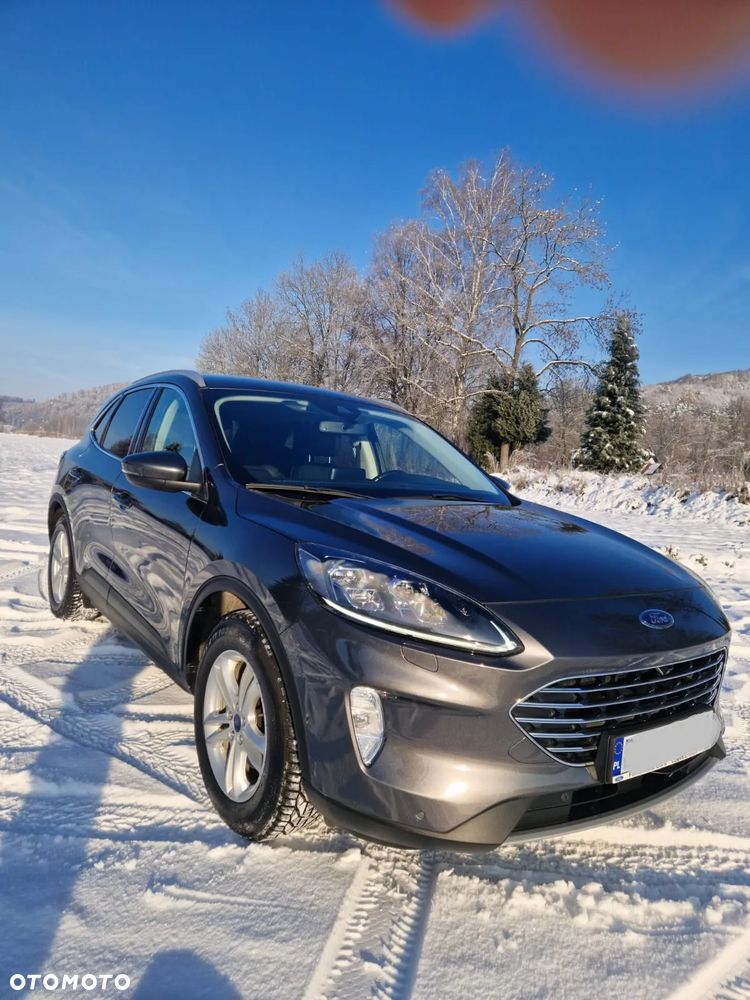 Ford Kuga 2.0 EcoBlue AWD Titanium X - 2