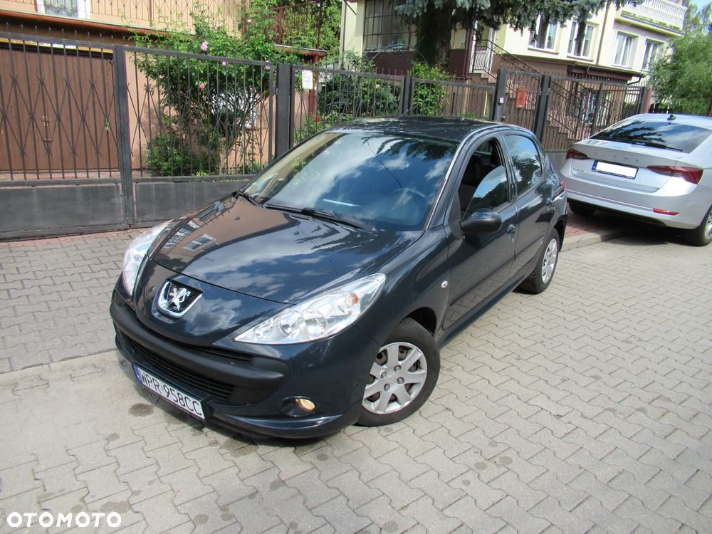 Peugeot 206 plus 60 - 2