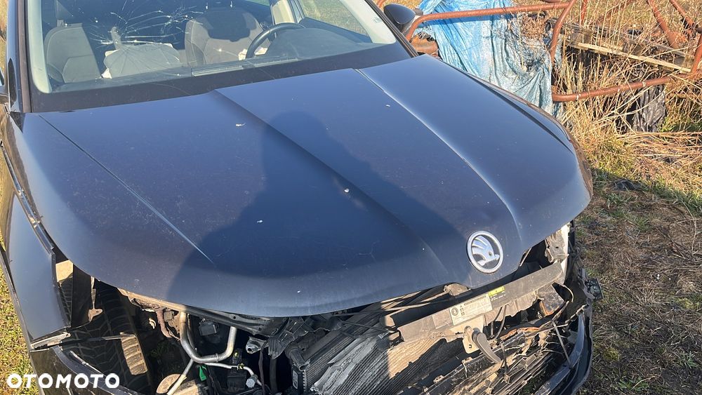 Skoda Kodiaq 2.0 TDI 4x4 DSG Sportline - 10