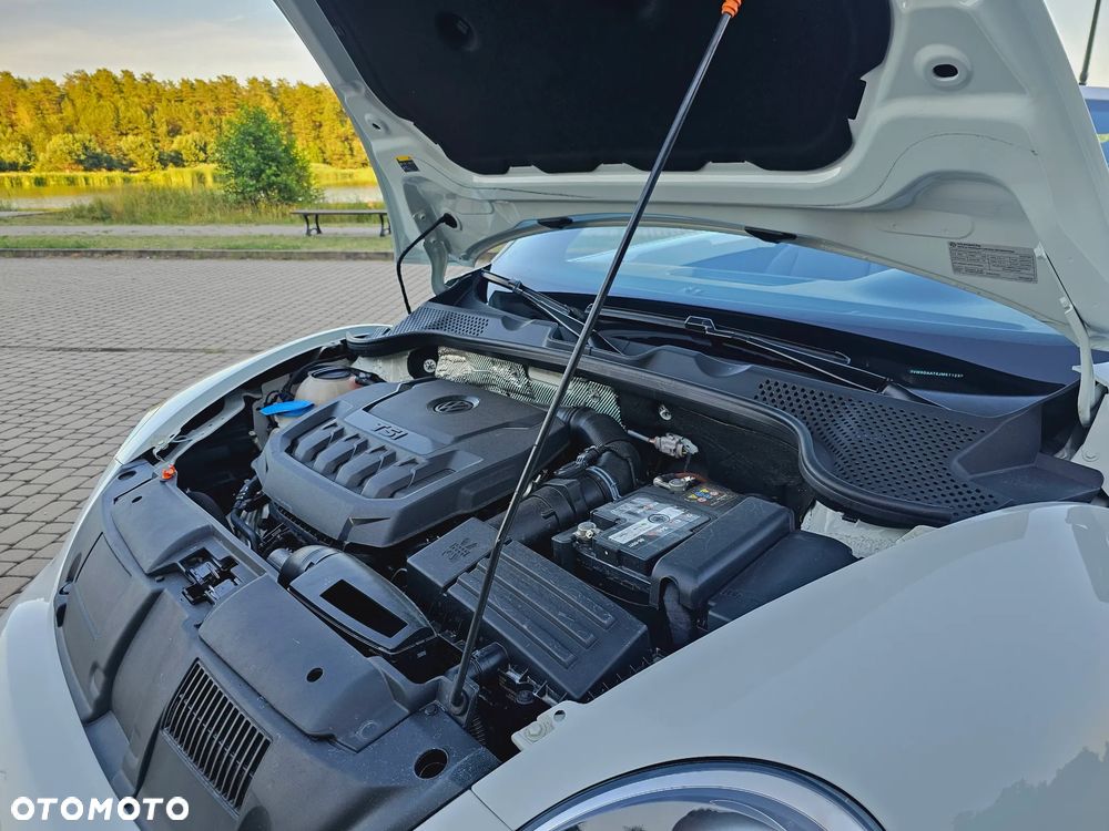 Volkswagen Beetle - 24