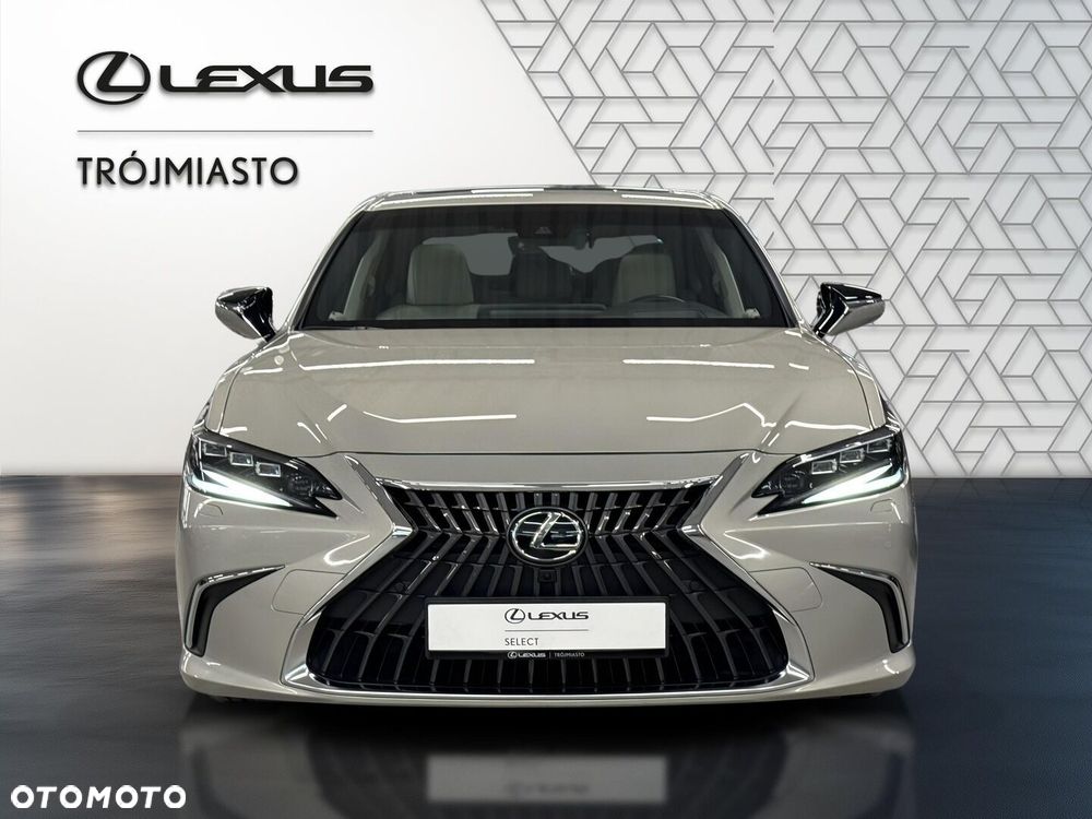 Lexus ES 300h Omotenashi - 9