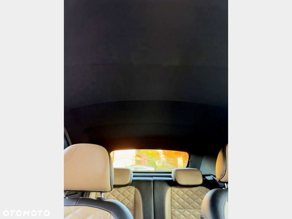 Volkswagen Beetle - 37