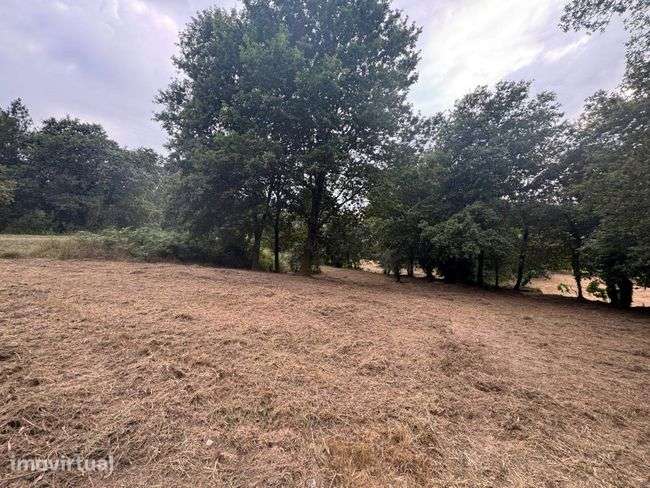 Terreno para Venda com PIP Aprovado – Coucieiro, Vila Verde - Grande imagem: 4/4