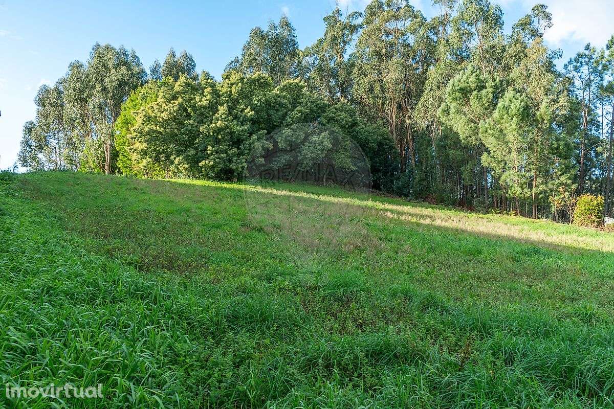 Terreno  para venda - Grande imagem: 4/11