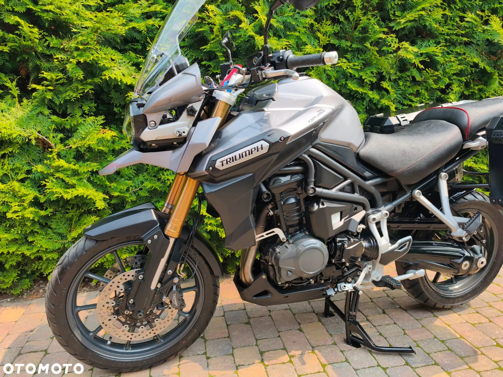 Triumph Tiger - 3