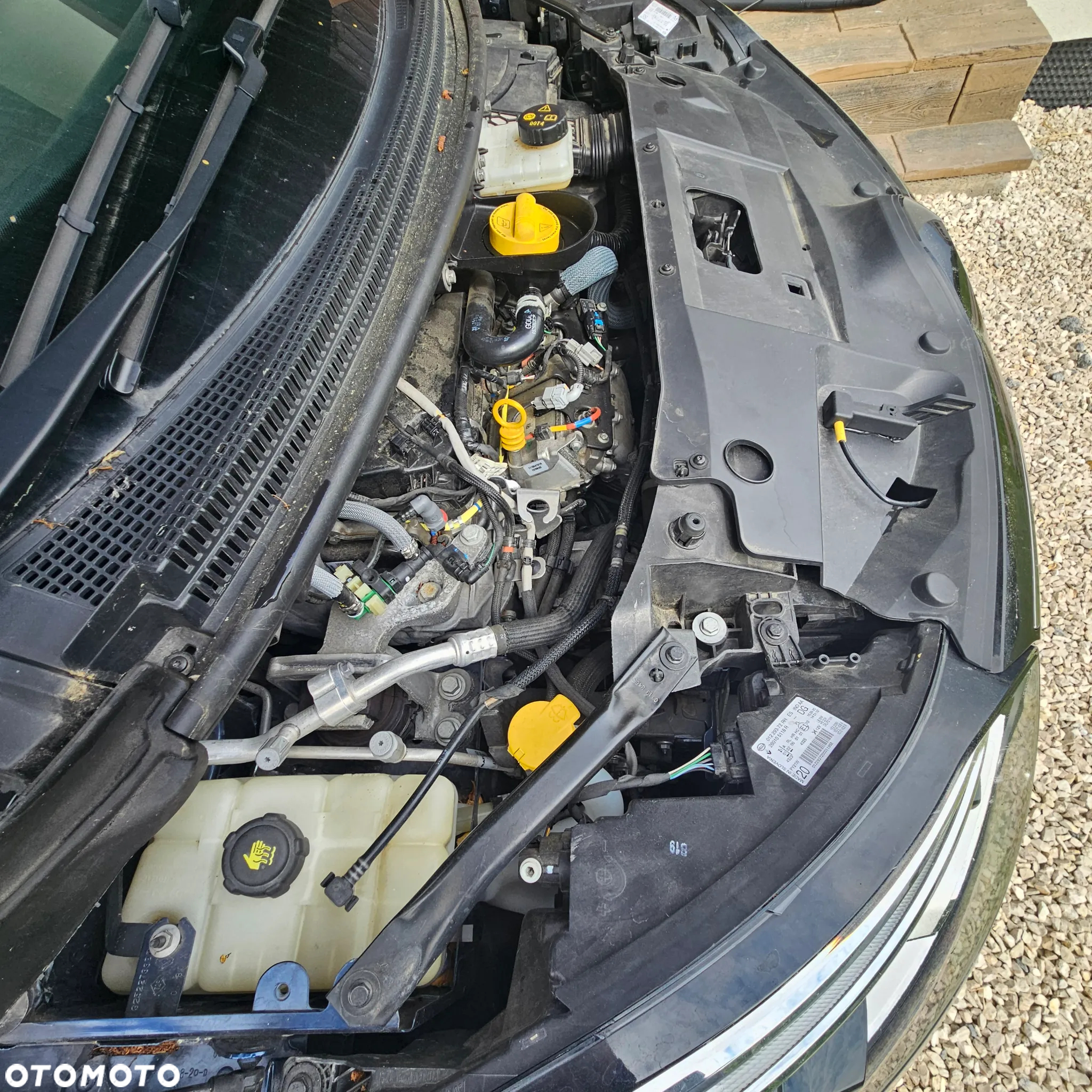 Renault Scenic - 13
