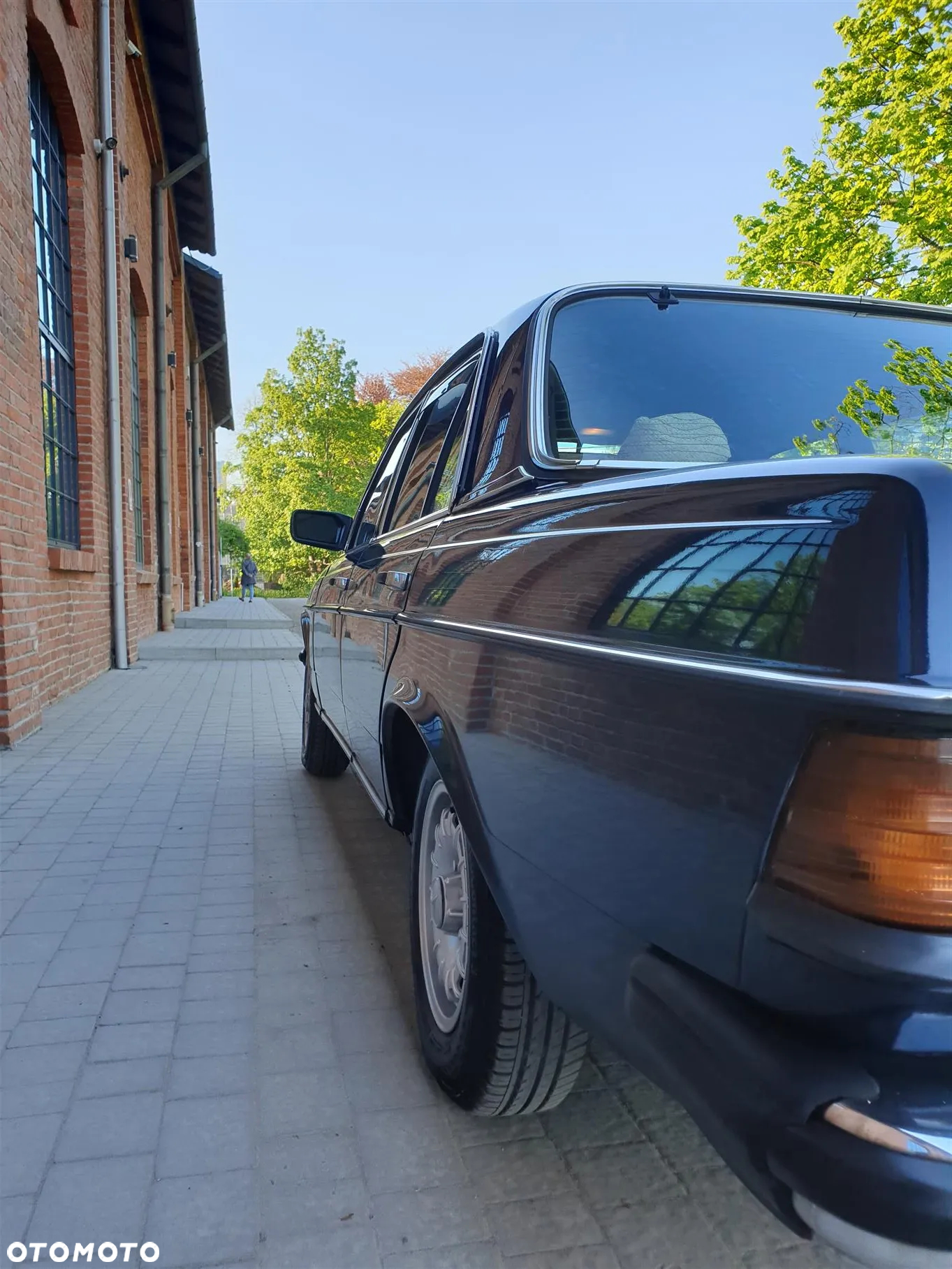 Mercedes-Benz W123 - 4