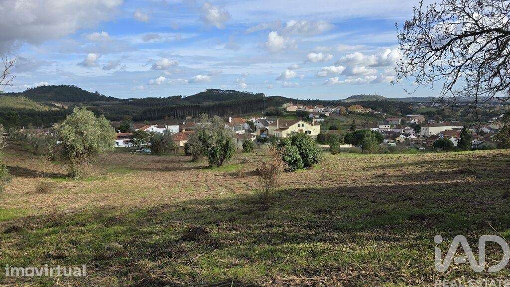 Terreno para construção em Lamas e Cercal - Grande imagem: 2/13