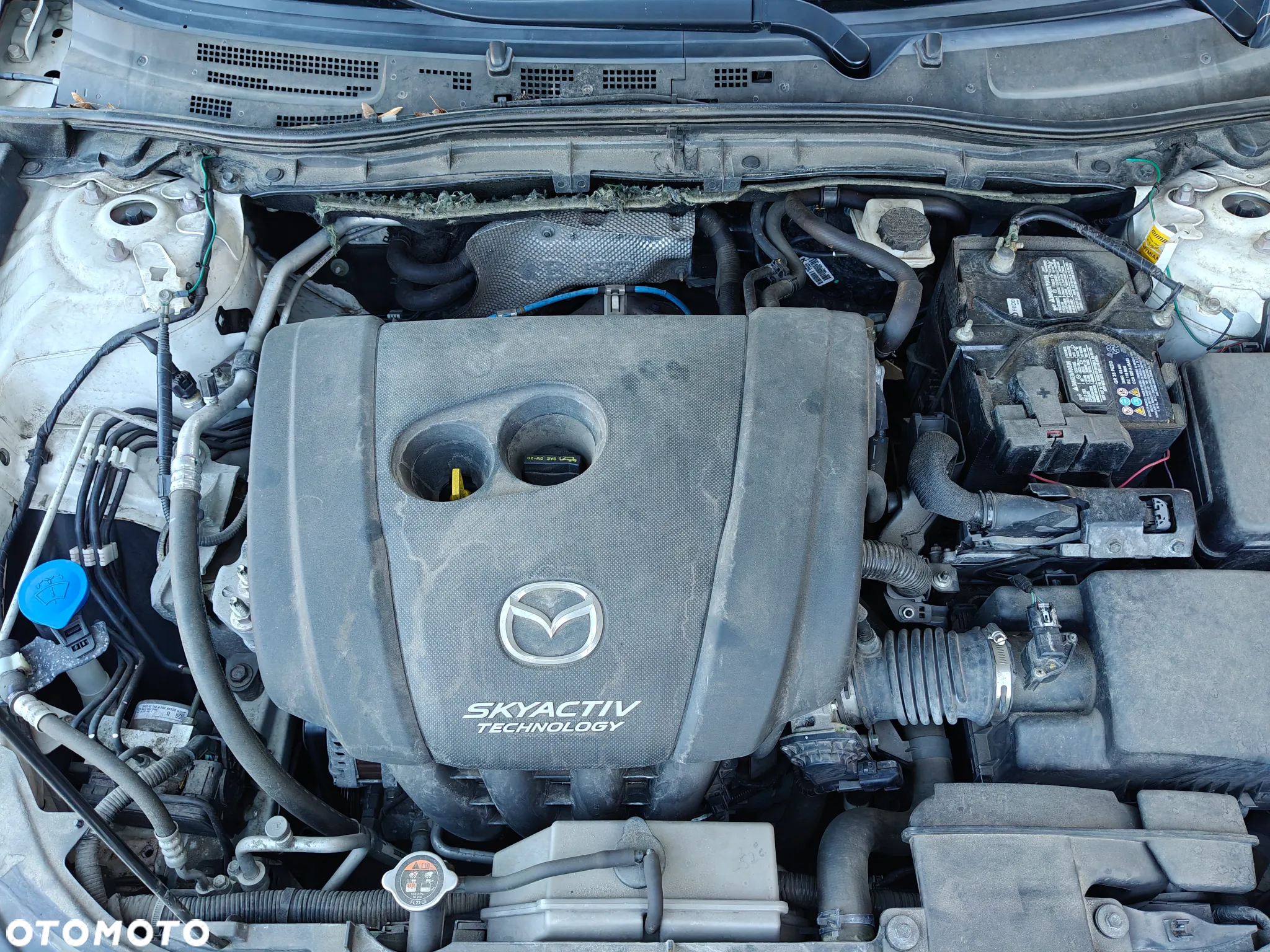Mazda 3 - 14