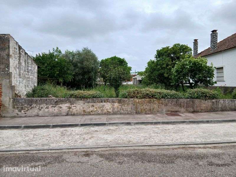 Lote de terreno urbano para construção---Alpiarça - Vista 3