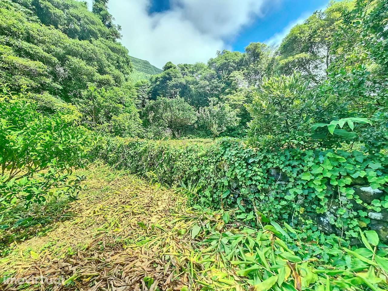 Quinta na Fajã Grande, Ilha das Flores. - Grande imagem: 4/10