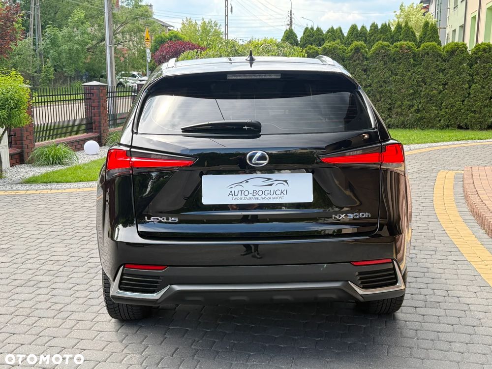 Lexus NX 300h Business Edition AWD - 13