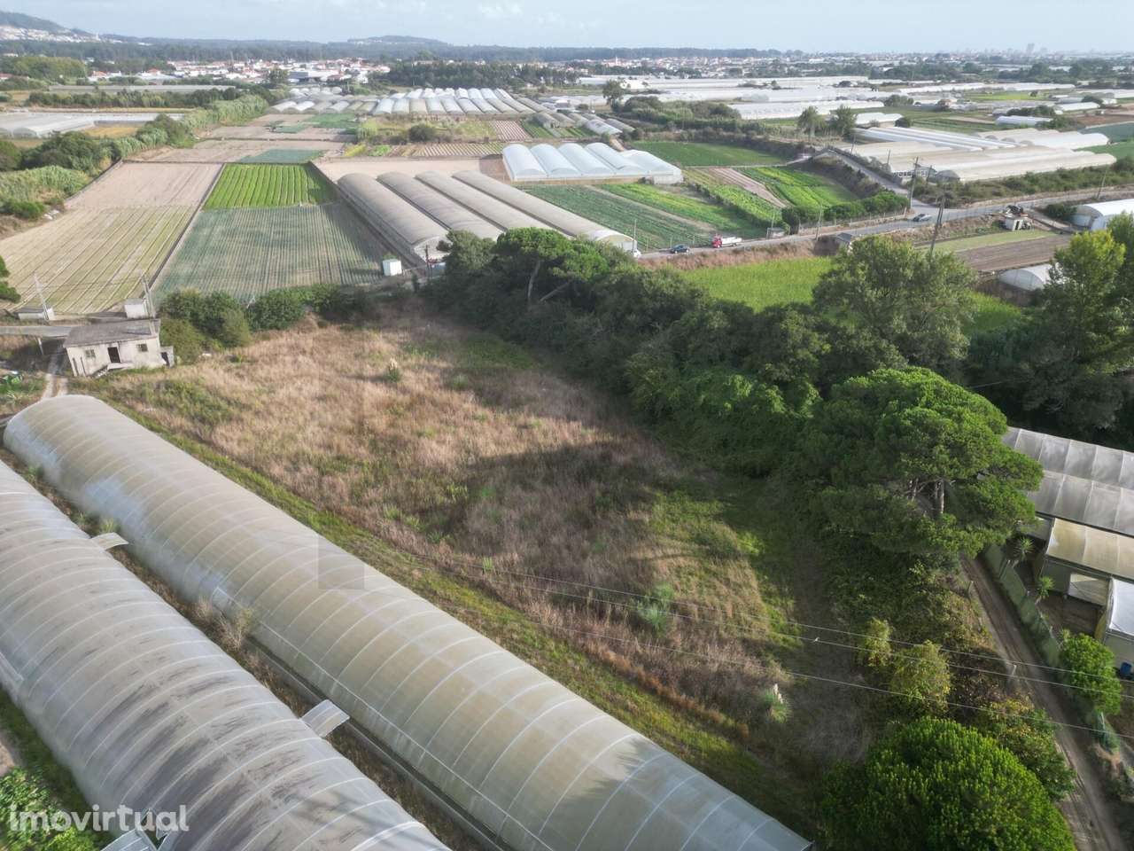 Terreno Rústico 3.750 m2 – Rio Alto, Estela - Póvoa de Varzim - Grande imagem: 3/22