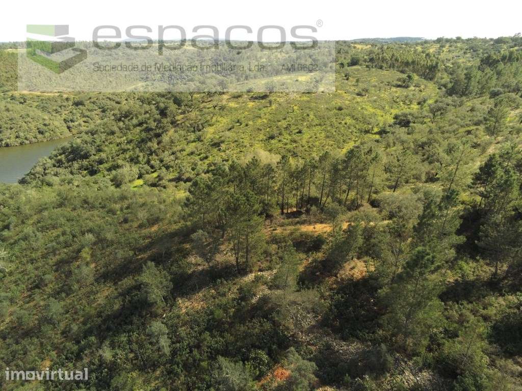 Terreno Rustico - Grande imagem: 4/15