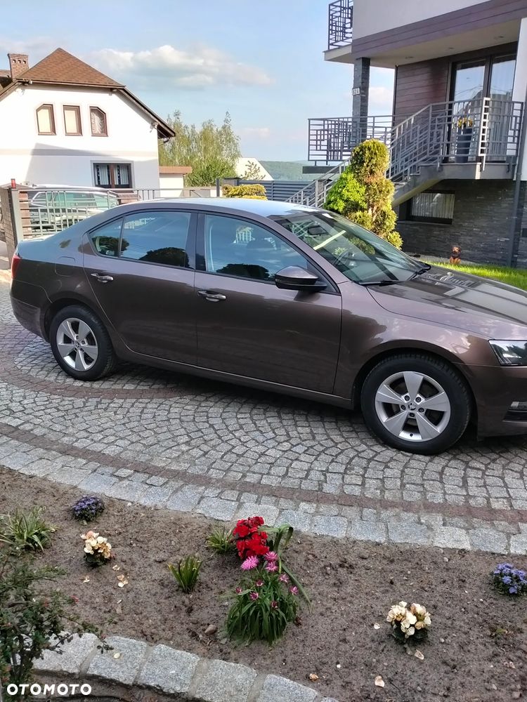 Skoda Octavia 2.0 TDI Edition - 12