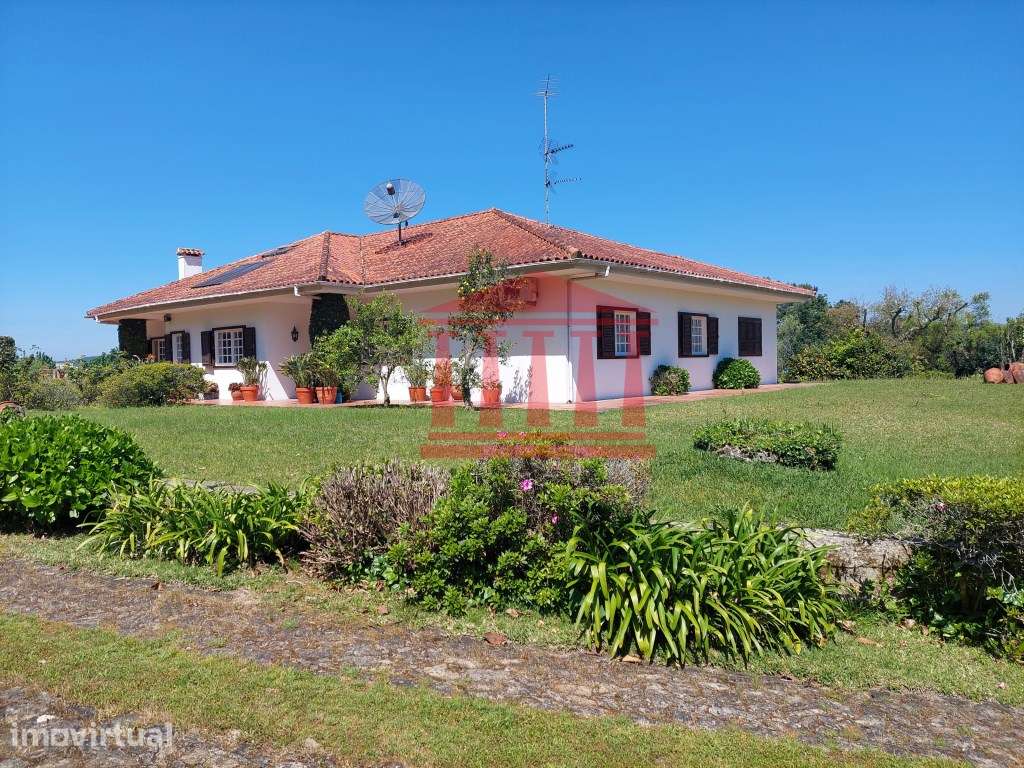 MORADIA V6 COM TERRENO - BARCELINHOS - Grande imagem: 4/60