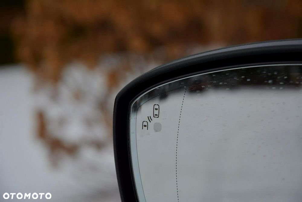 Ford Edge 2.0 EcoBlue Bi-Turbo 4x4 ST-LINE - 39