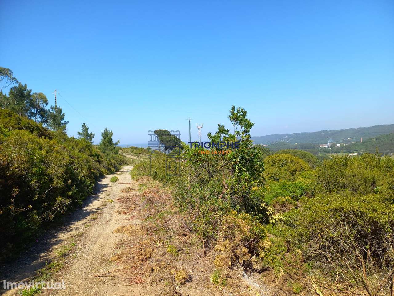 Terreno 11.000m2 - Com Viabilidade de Construção - Nazaré - Grande imagem: 3/16