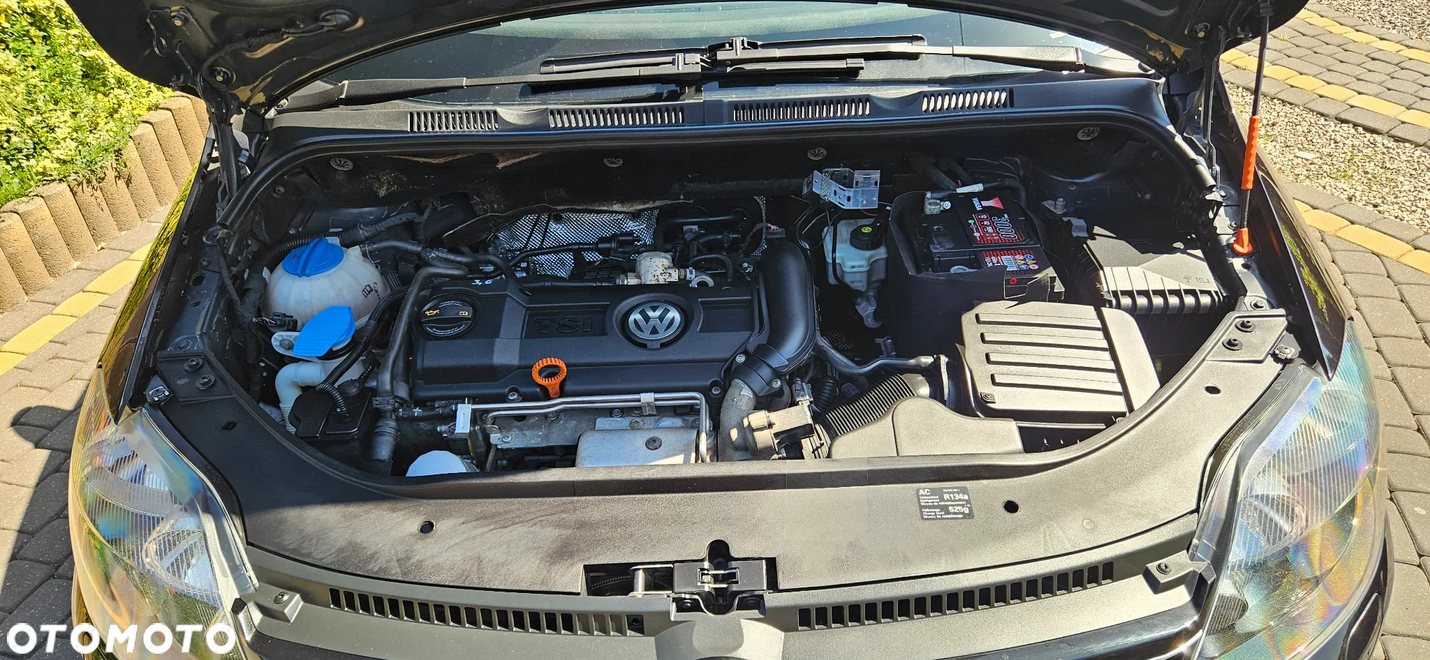 Volkswagen Golf Plus 1.4 TSI Highline - 13