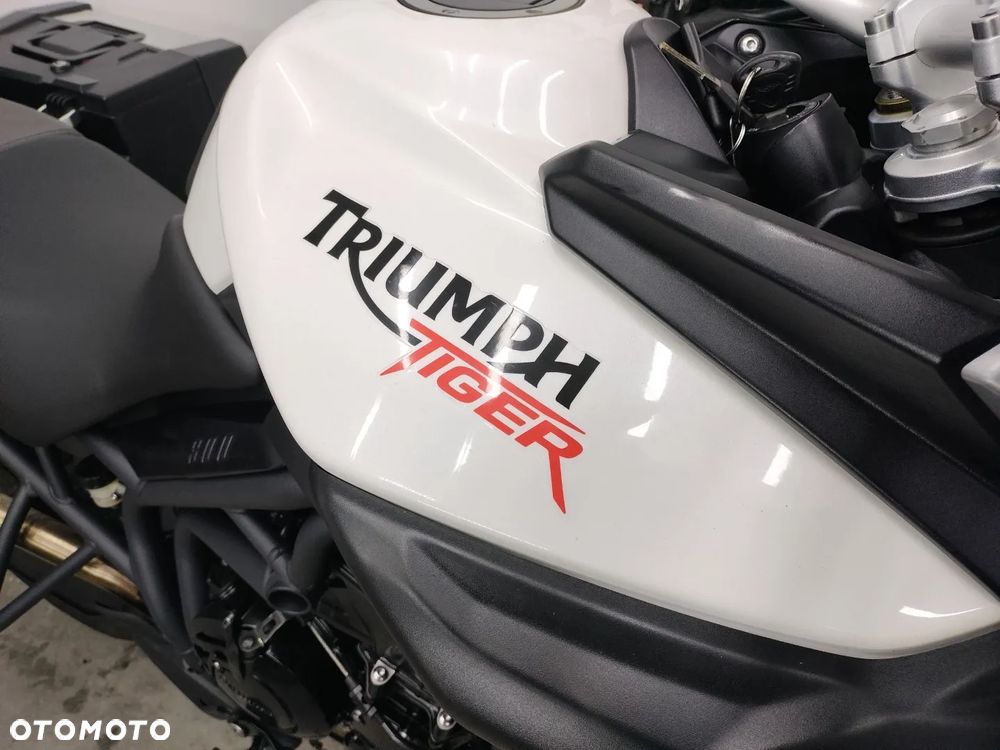Triumph Tiger - 6