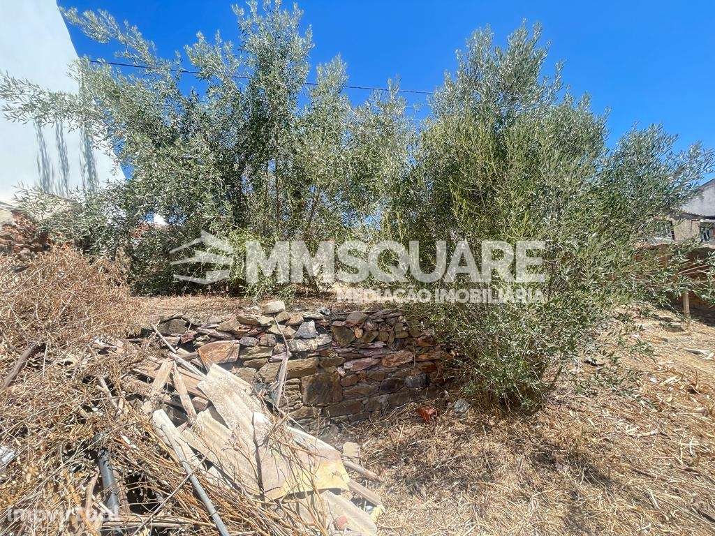 Terreno Para Construção  Venda em Ourique,Ourique - Grande imagem: 5/9