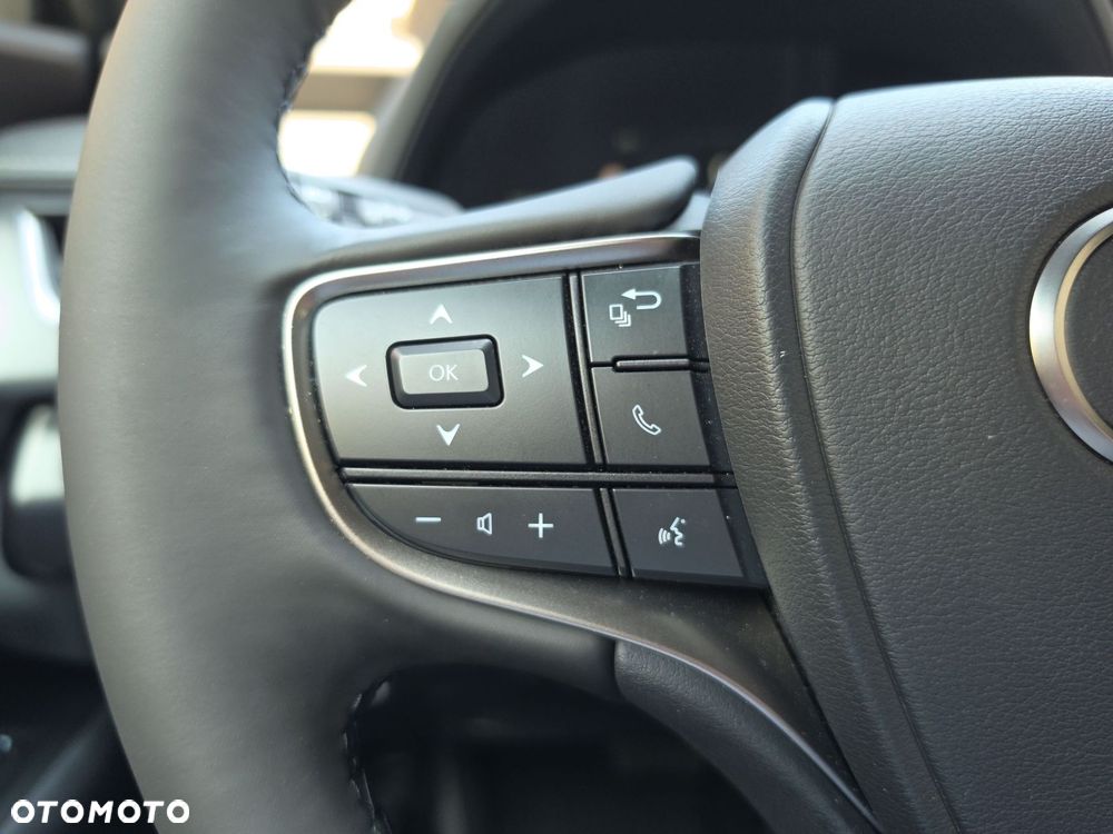 Lexus UX 300h Business - 14
