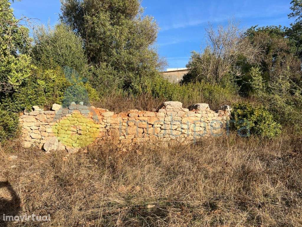 TERRENO RÚSTICO EM ZONA PREVILIGIADA ELECTRICIDADE E VISTA DESLUMBR... - Grande imagem: 4/10