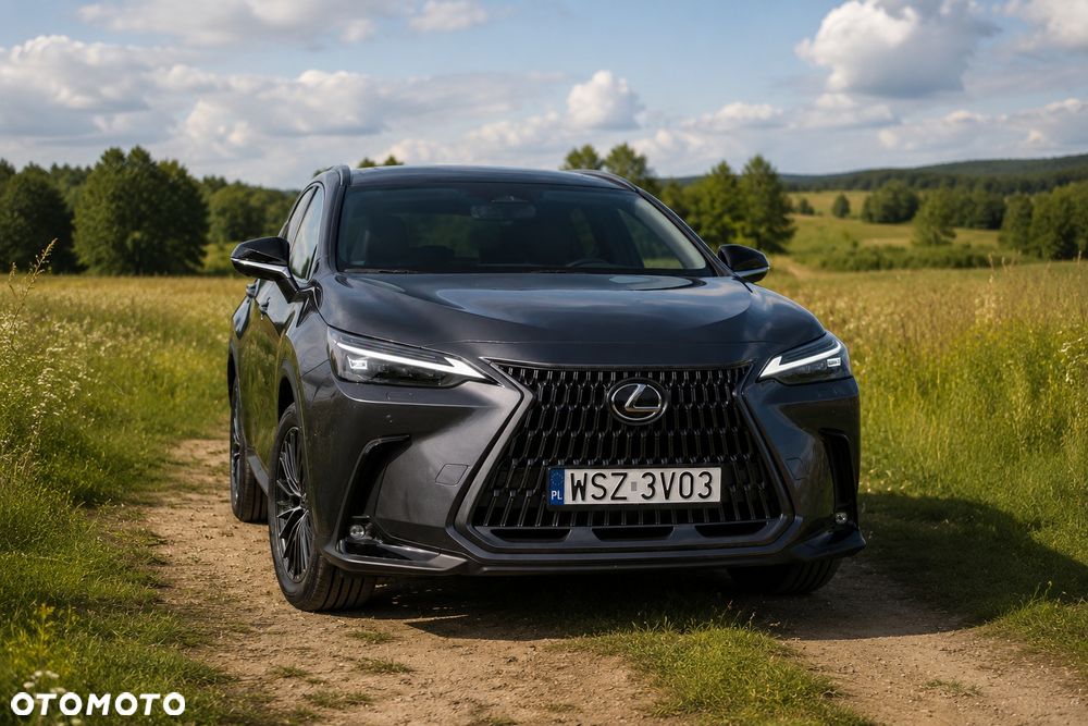 Lexus NX - 1