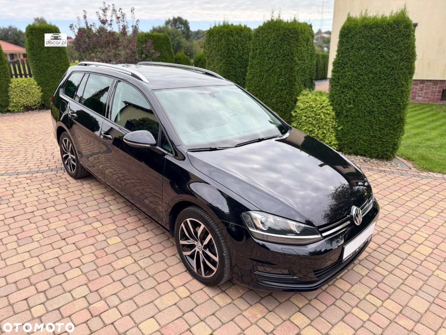 Volkswagen Golf - 38
