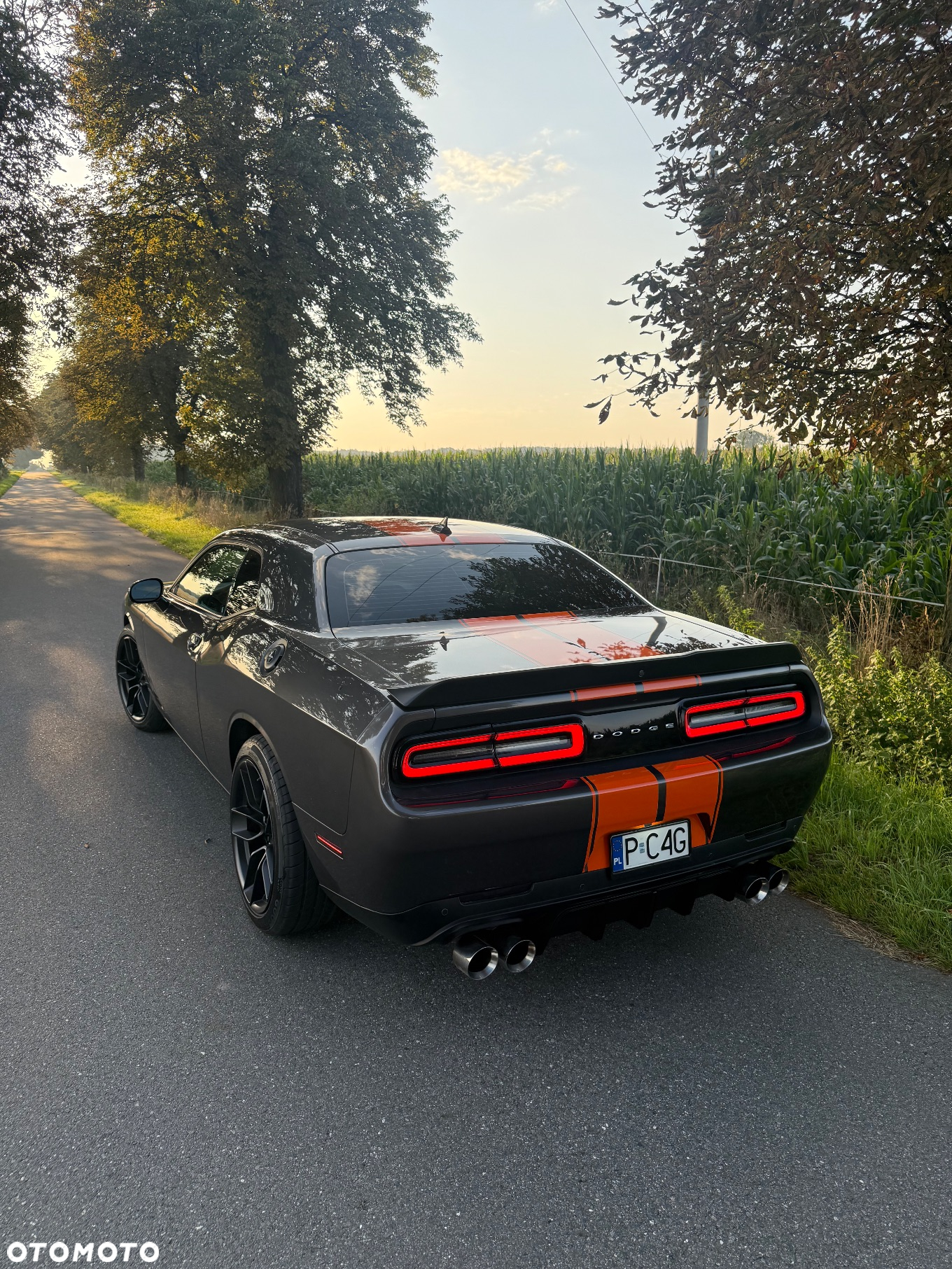 Dodge Challenger Automatik SXT Plus - 3