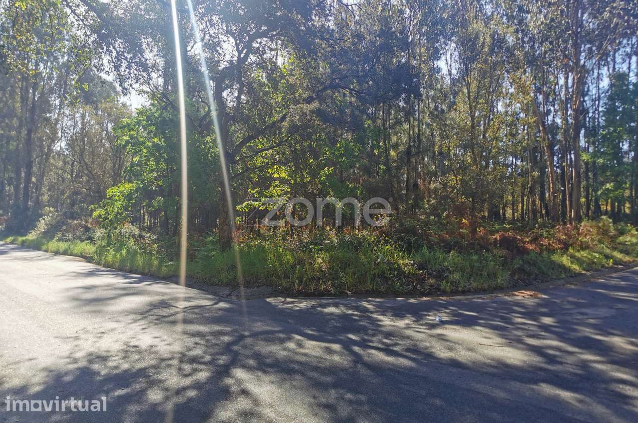 Terreno, com acesso betuminoso, gaveto, 2 frentes, Recardães, Águeda - Grande imagem: 5/13